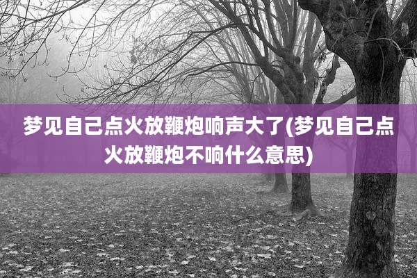 梦见自己点火放鞭炮响声大了(梦见自己点火放鞭炮不响什么意思)