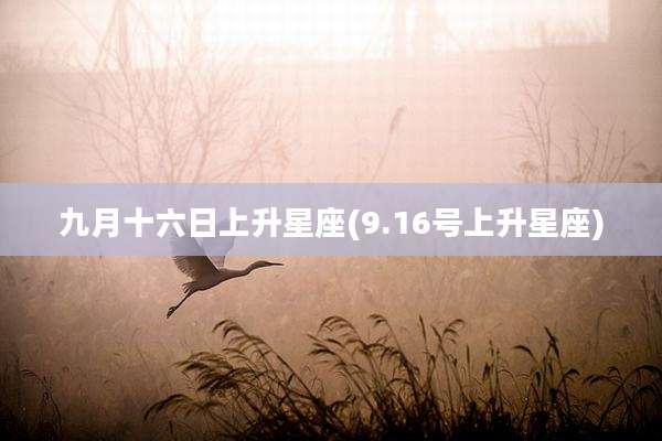九月十六日上升星座(9.16号上升星座)