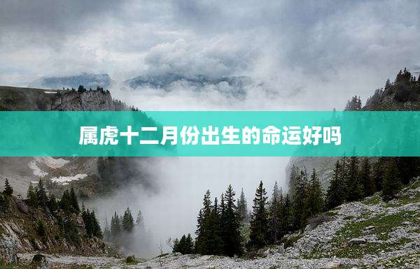 属虎十二月份出生的命运好吗