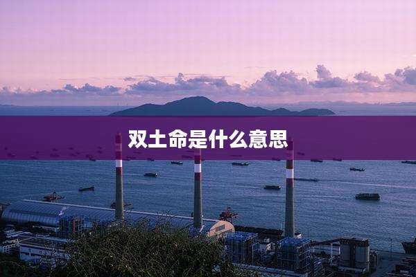 双土命是什么意思