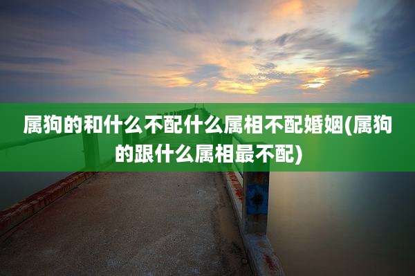 属狗的和什么不配什么属相不配婚姻(属狗的跟什么属相最不配)