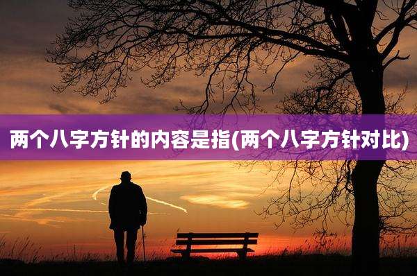 两个八字方针的内容是指(两个八字方针对比)