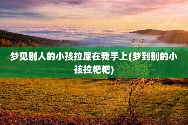 梦见别人的小孩拉屎在我手上(梦到别的小孩拉粑粑)