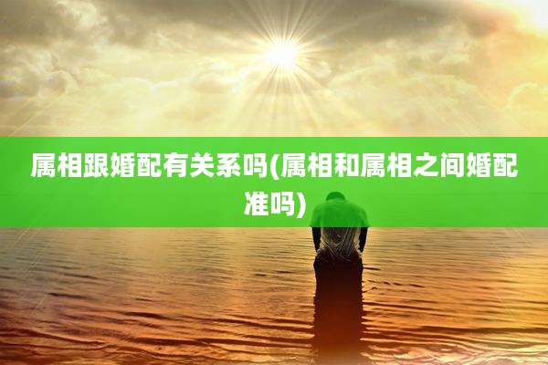 属相跟婚配有关系吗(属相和属相之间婚配准吗)