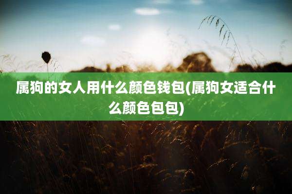 属狗的女人用什么颜色钱包(属狗女适合什么颜色包包)