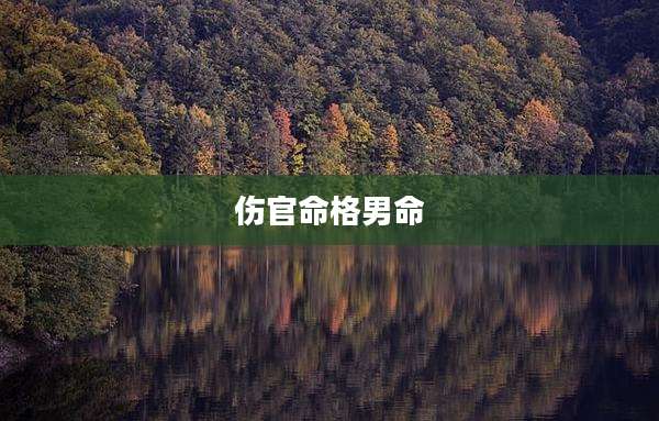 伤官命格男命