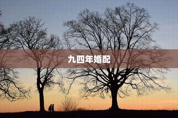 九四年婚配