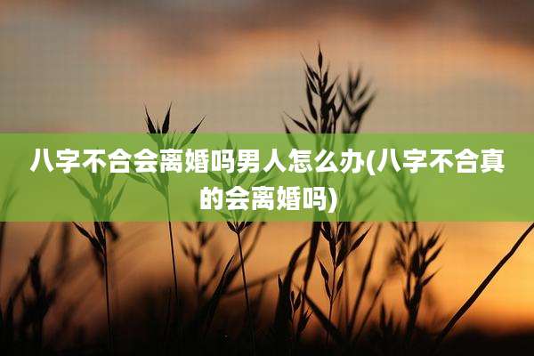 八字不合会离婚吗男人怎么办(八字不合真的会离婚吗)