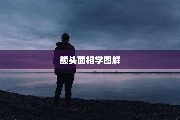 额头面相学图解