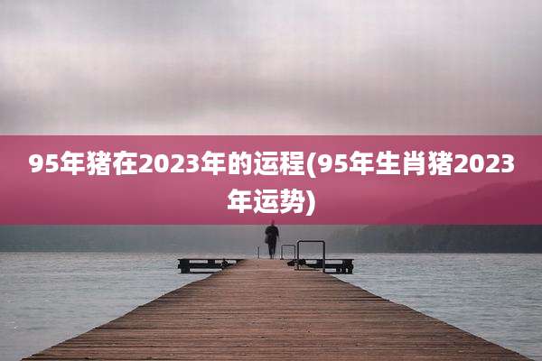 95年猪在2023年的运程(95年生肖猪2023年运势)