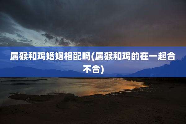 属猴和鸡婚姻相配吗(属猴和鸡的在一起合不合)