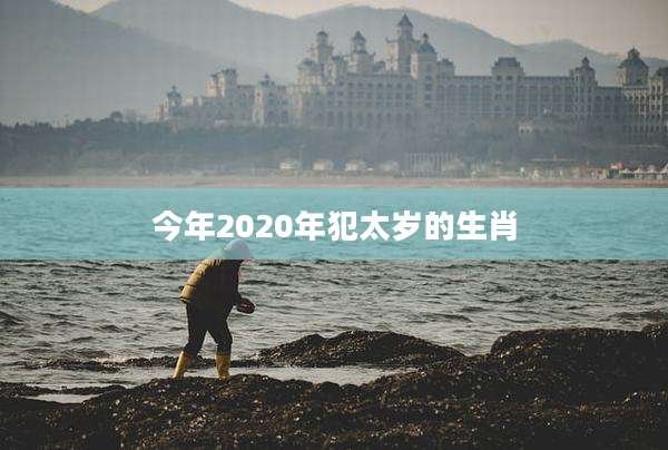 今年2020年犯太岁的生肖