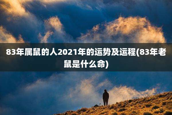 83年属鼠的人2021年的运势及运程(83年老鼠是什么命)