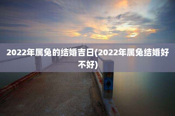 2022年属兔的结婚吉日(2022年属兔结婚好不好)