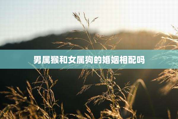 男属猴和女属狗的婚姻相配吗