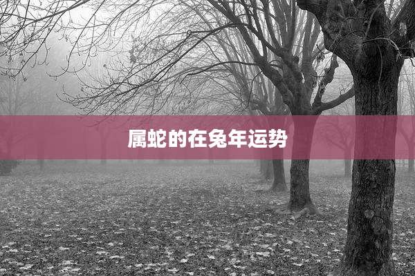 属蛇的在兔年运势
