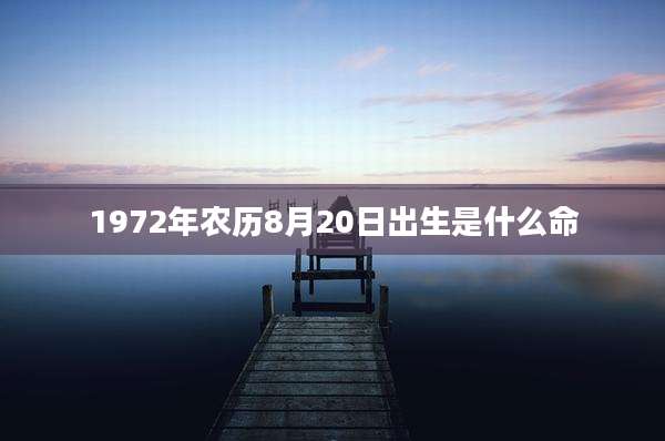 1972年农历8月20日出生是什么命