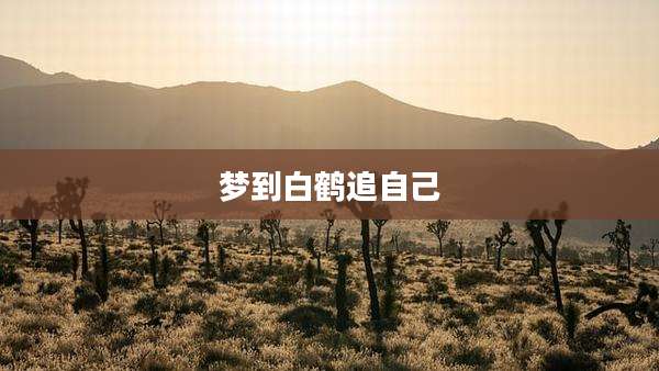梦到白鹤追自己