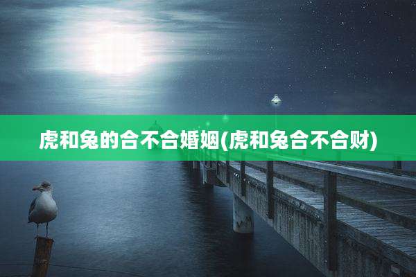 虎和兔的合不合婚姻(虎和兔合不合财)