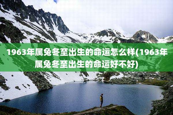 1963年属兔冬至出生的命运怎么样(1963年属兔冬至出生的命运好不好)