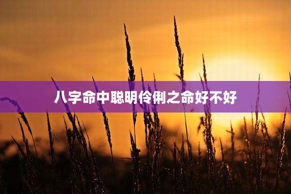 八字命中聪明伶俐之命好不好