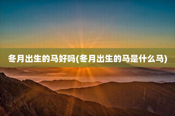 冬月出生的马好吗(冬月出生的马是什么马)