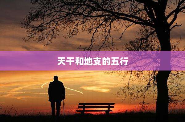 天干和地支的五行