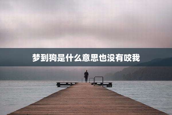 梦到狗是什么意思也没有咬我