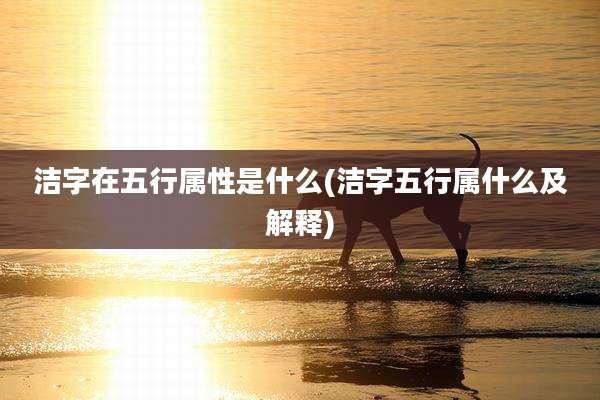 洁字在五行属性是什么(洁字五行属什么及解释)