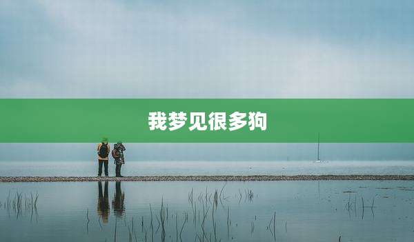 我梦见很多狗