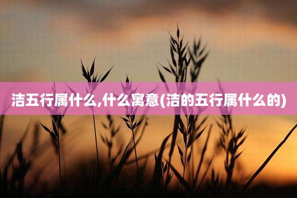 洁五行属什么,什么寓意(洁的五行属什么的)