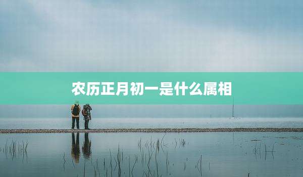 农历正月初一是什么属相