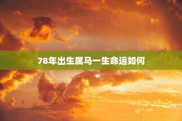 78年出生属马一生命运如何