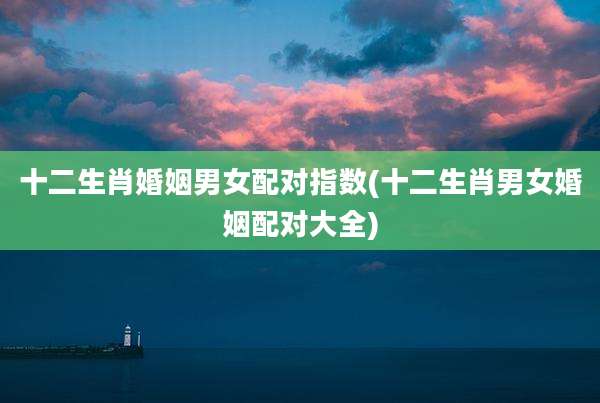 十二生肖婚姻男女配对指数(十二生肖男女婚姻配对大全)