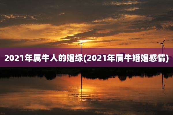 2021年属牛人的姻缘(2021年属牛婚姻感情)