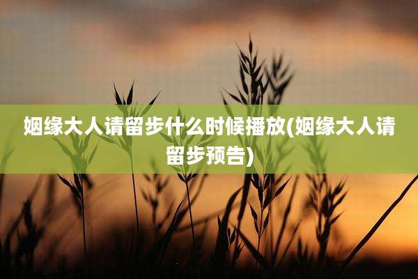 姻缘大人请留步什么时候播放(姻缘大人请留步预告)