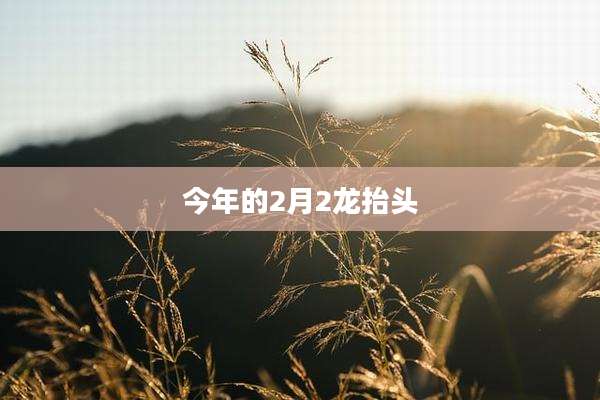 今年的2月2龙抬头