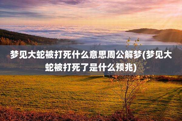 梦见大蛇被打死什么意思周公解梦(梦见大蛇被打死了是什么预兆)
