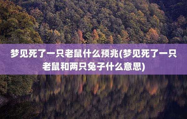 梦见死了一只老鼠什么预兆(梦见死了一只老鼠和两只兔子什么意思)