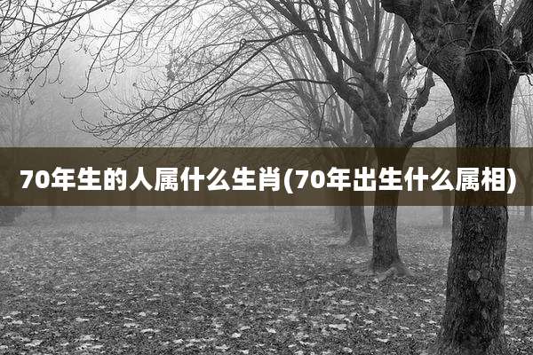 70年生的人属什么生肖(70年出生什么属相)