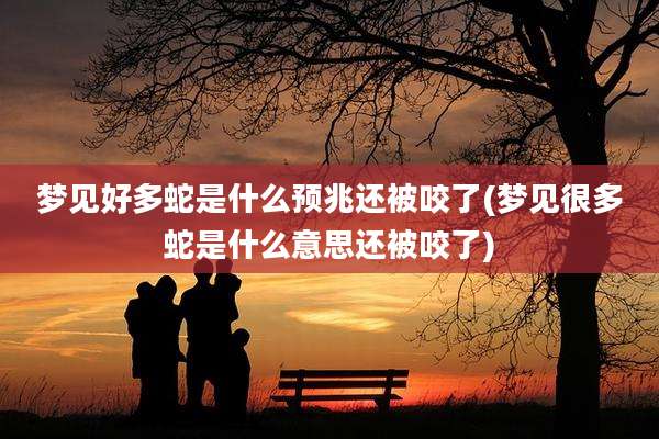 梦见好多蛇是什么预兆还被咬了(梦见很多蛇是什么意思还被咬了)