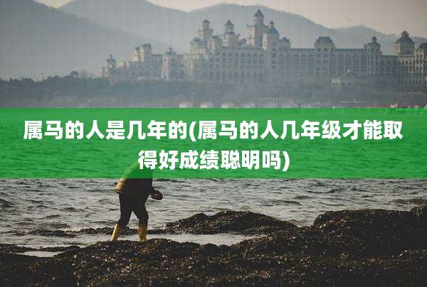 属马的人是几年的(属马的人几年级才能取得好成绩聪明吗)