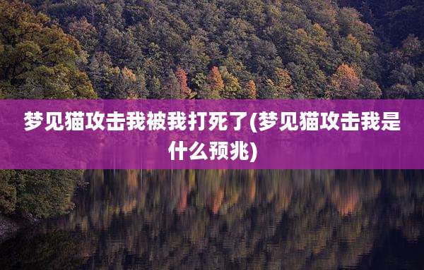 梦见猫攻击我被我打死了(梦见猫攻击我是什么预兆)