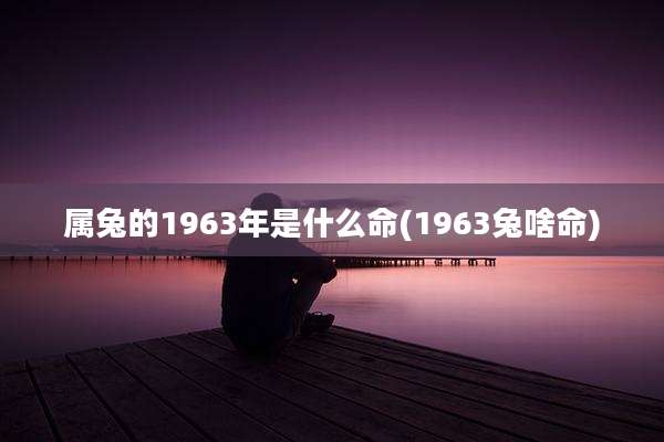 属兔的1963年是什么命(1963兔啥命)