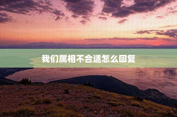 我们属相不合适怎么回复