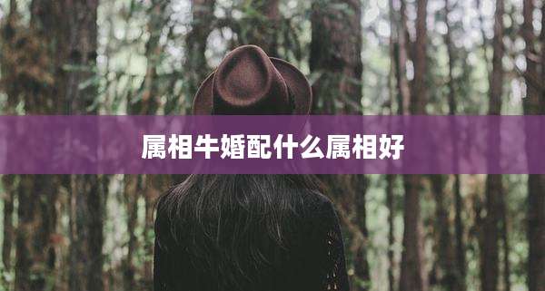属相牛婚配什么属相好