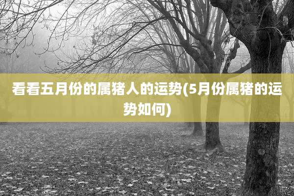看看五月份的属猪人的运势(5月份属猪的运势如何)