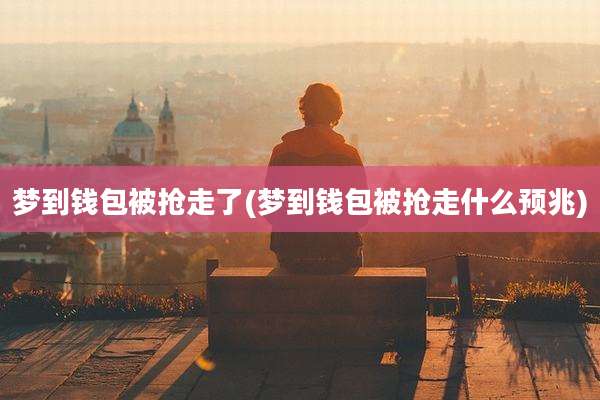梦到钱包被抢走了(梦到钱包被抢走什么预兆)