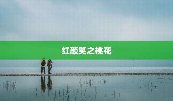 红颜笑之桃花