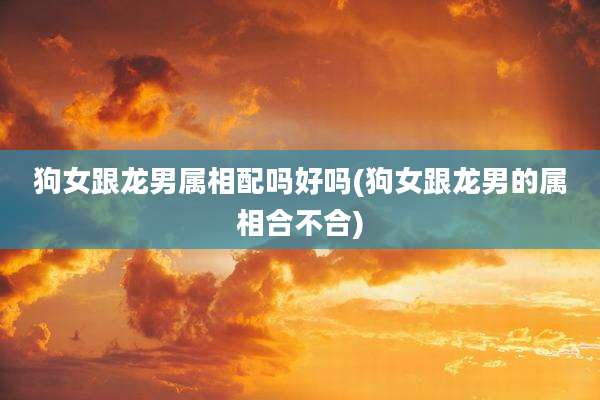 狗女跟龙男属相配吗好吗(狗女跟龙男的属相合不合)